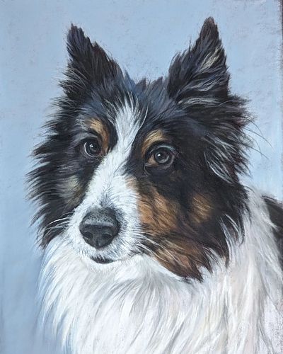 Portrait of Aries. #petpainting #petportrait #pastelpainting #pastelmat #bordercollie#パステルアート #ソフトパステル