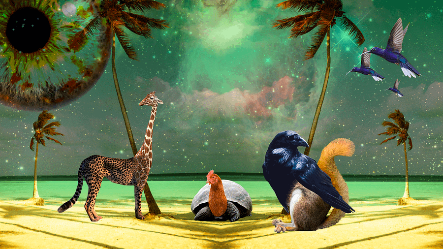 Even more Wallpapers from On-Stream Collage product image (3)