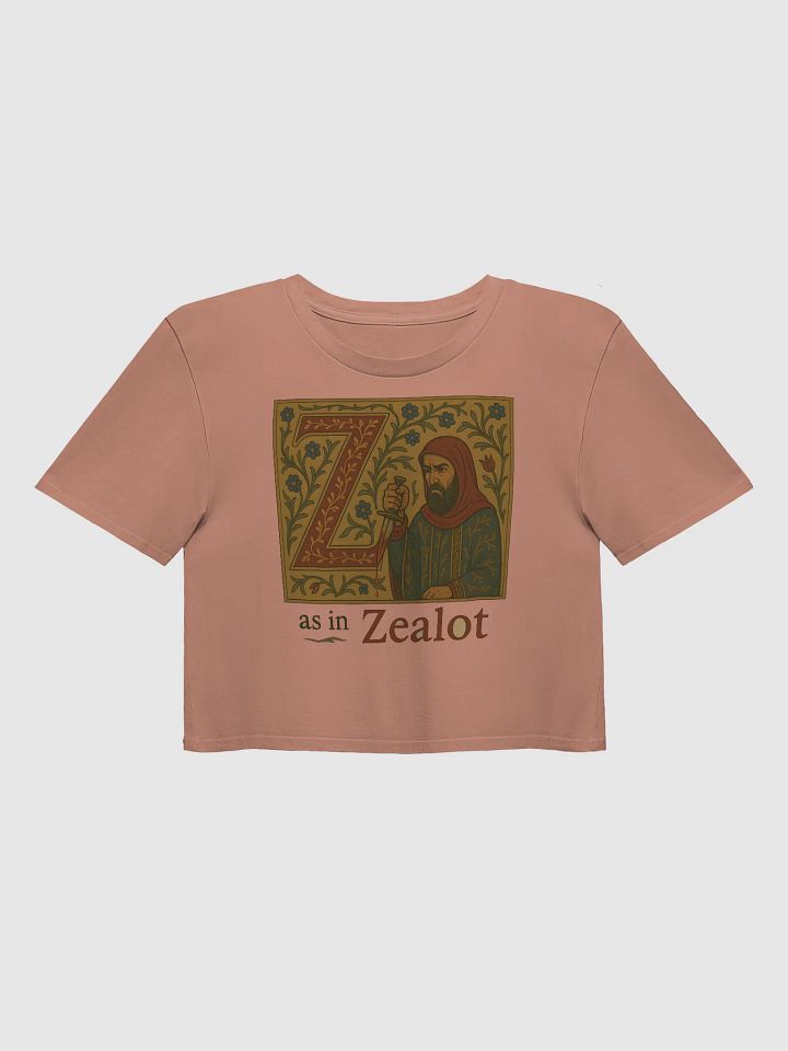 Z as in zealot croptop product image (1)