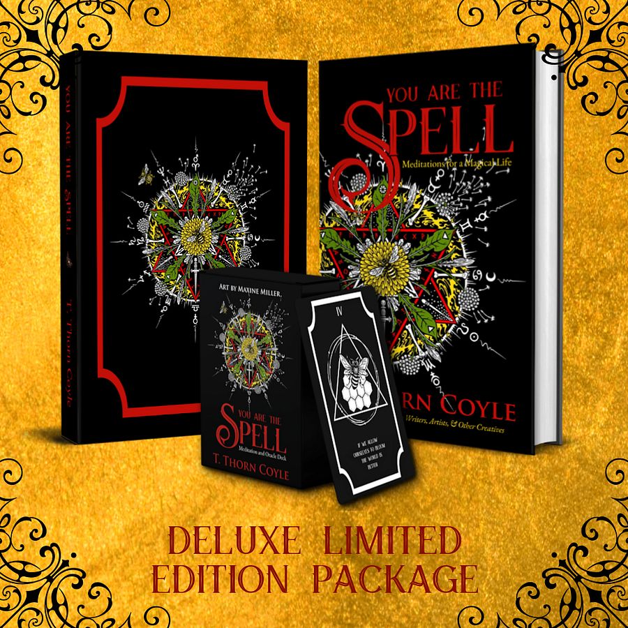 You Are the Spell: Deluxe Limited Edition Package product image (1)