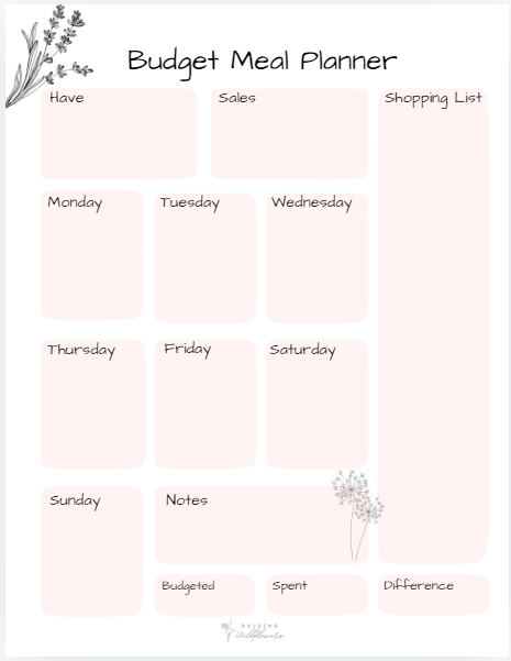 Budget Meal Plan product image (2)