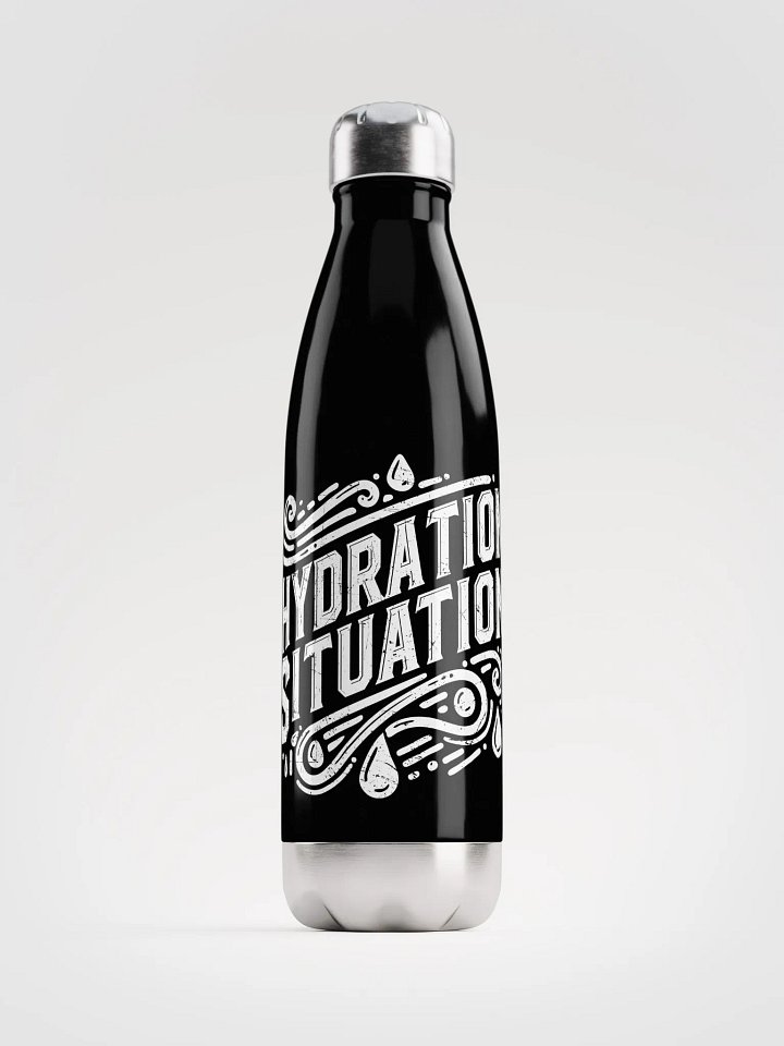 Hydration Situation - Stainless Steel Bottle product image (1)