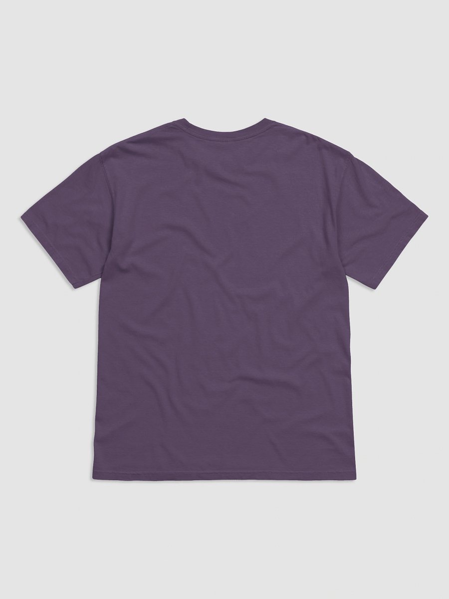 Cosmic Journey Heavyweight Tee product image (2)