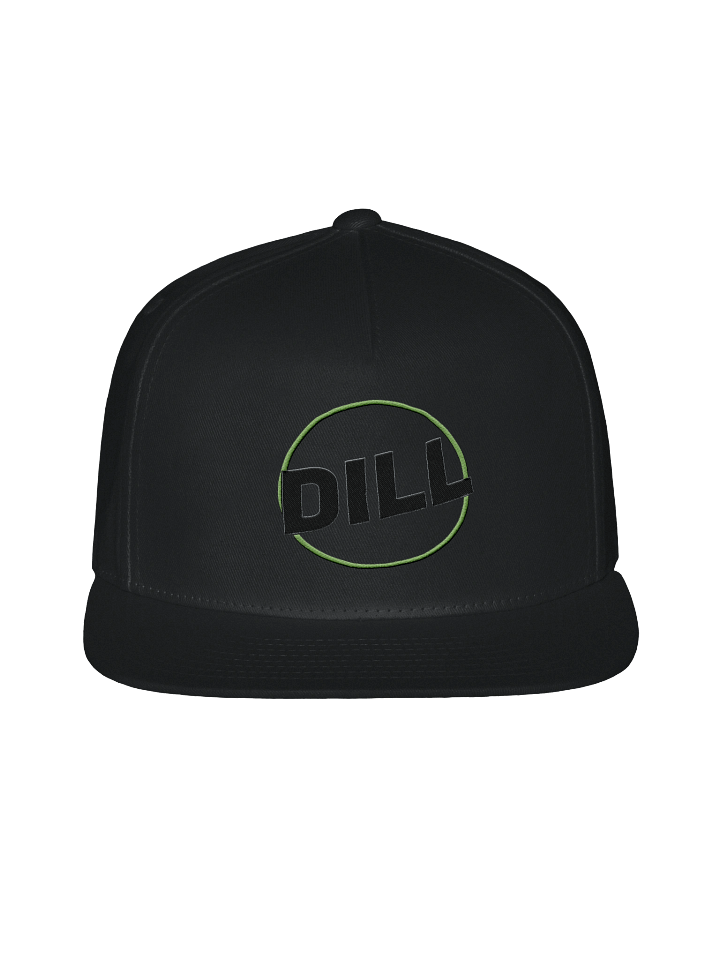 Dill's Logo Embroidered Flat Cap product image (2)