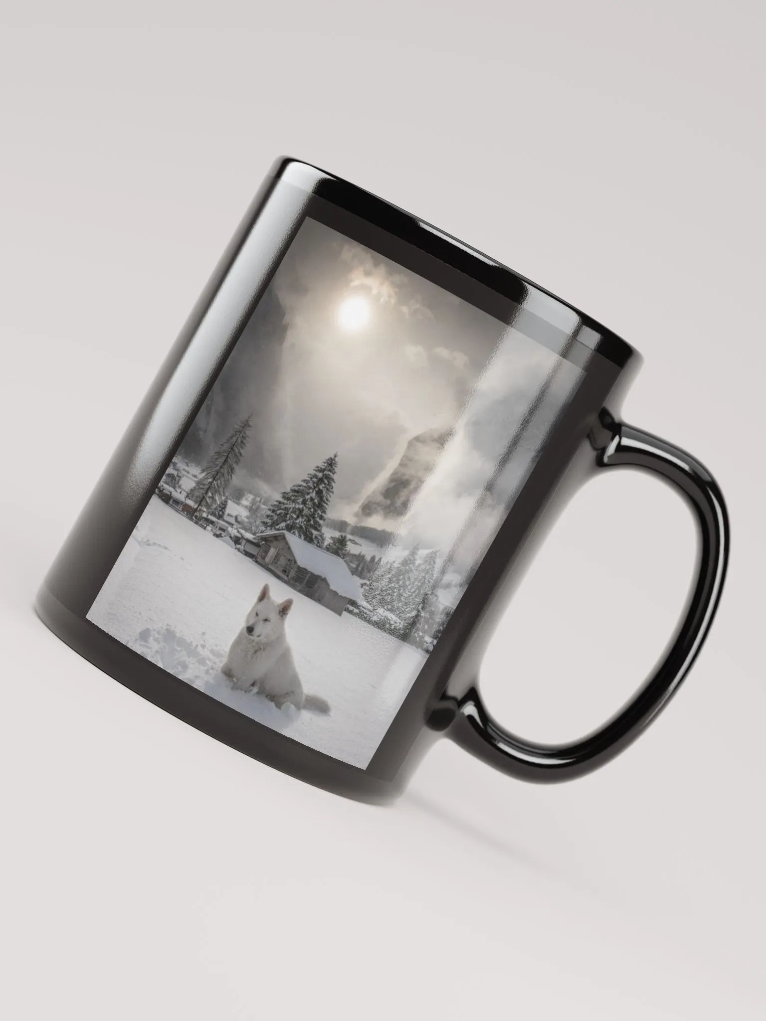 Rasta in Lauterbrunnen in winter product image (8)