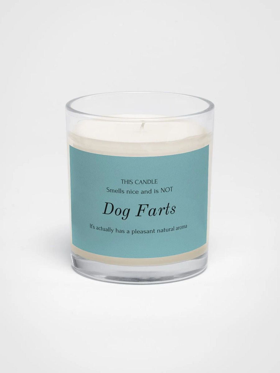 Veterinary humor candle "Dog farts" product image (1)