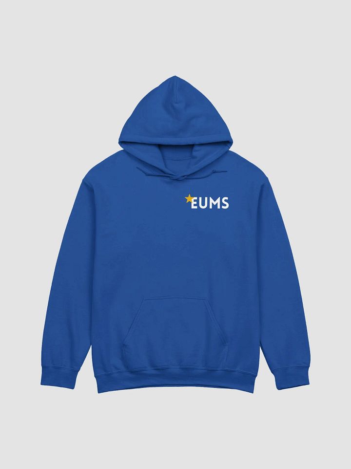 Hoodie - EUMS - Blue & Varients product image (1)