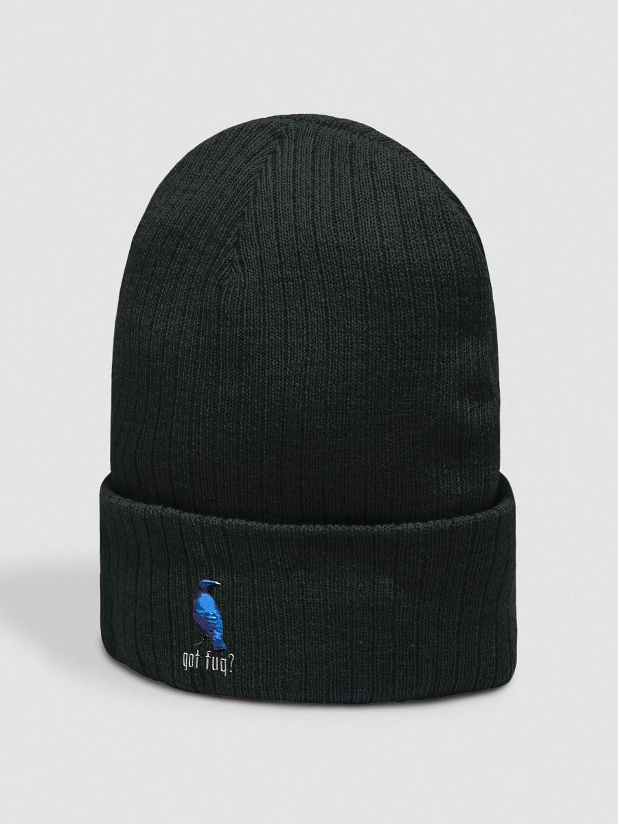 Ron Collection - Embroidered Ribbed Knit Beanie product image (2)