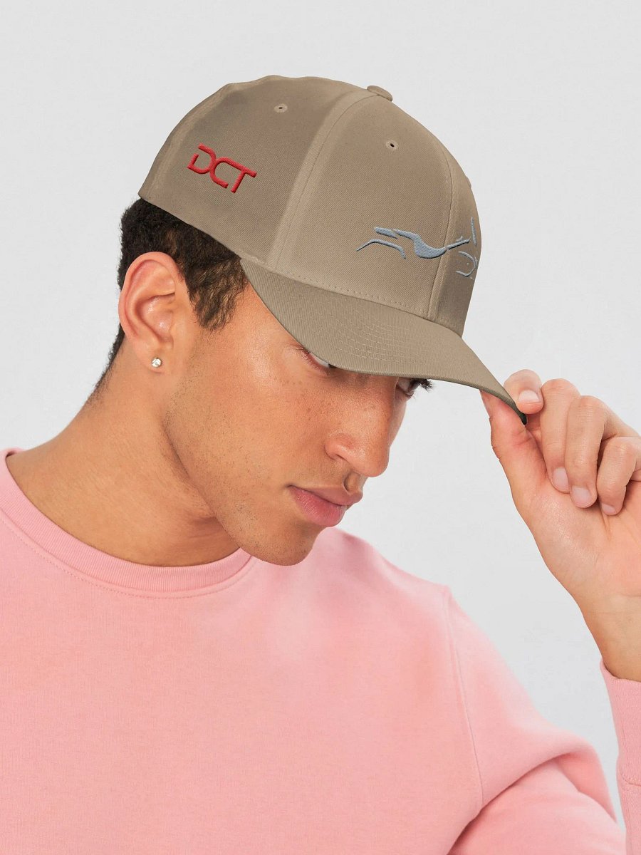DCT Shadow Bagger Flexi-Fit Fabric Cap Silver on White product image (8)