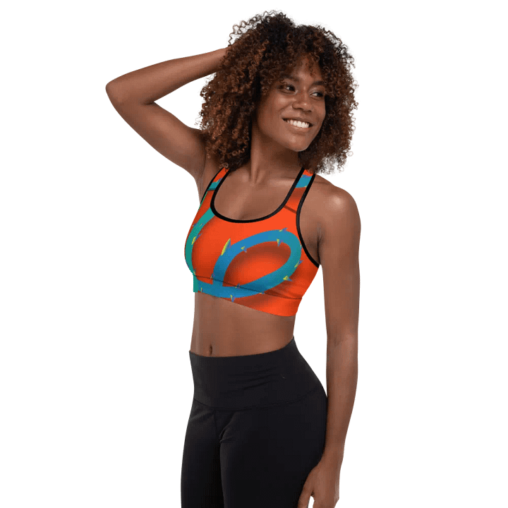 Dromey3 Sports Bra product image (2)