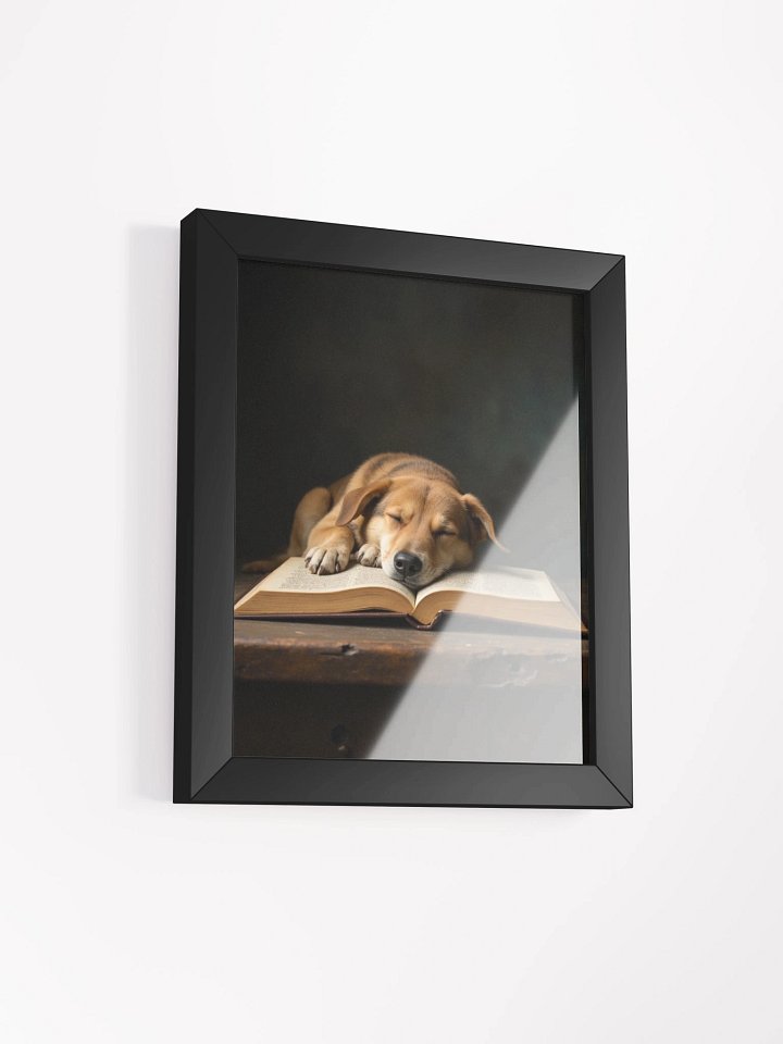 Sleeping Potcake Framed Picture product image (23)