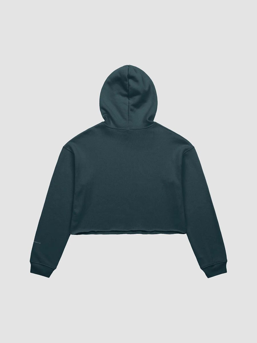 Crop CL Hoodie product image (2)