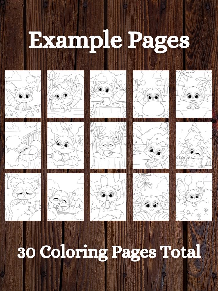 Raccoon Printable Coloring Pages for Kids product image (2)