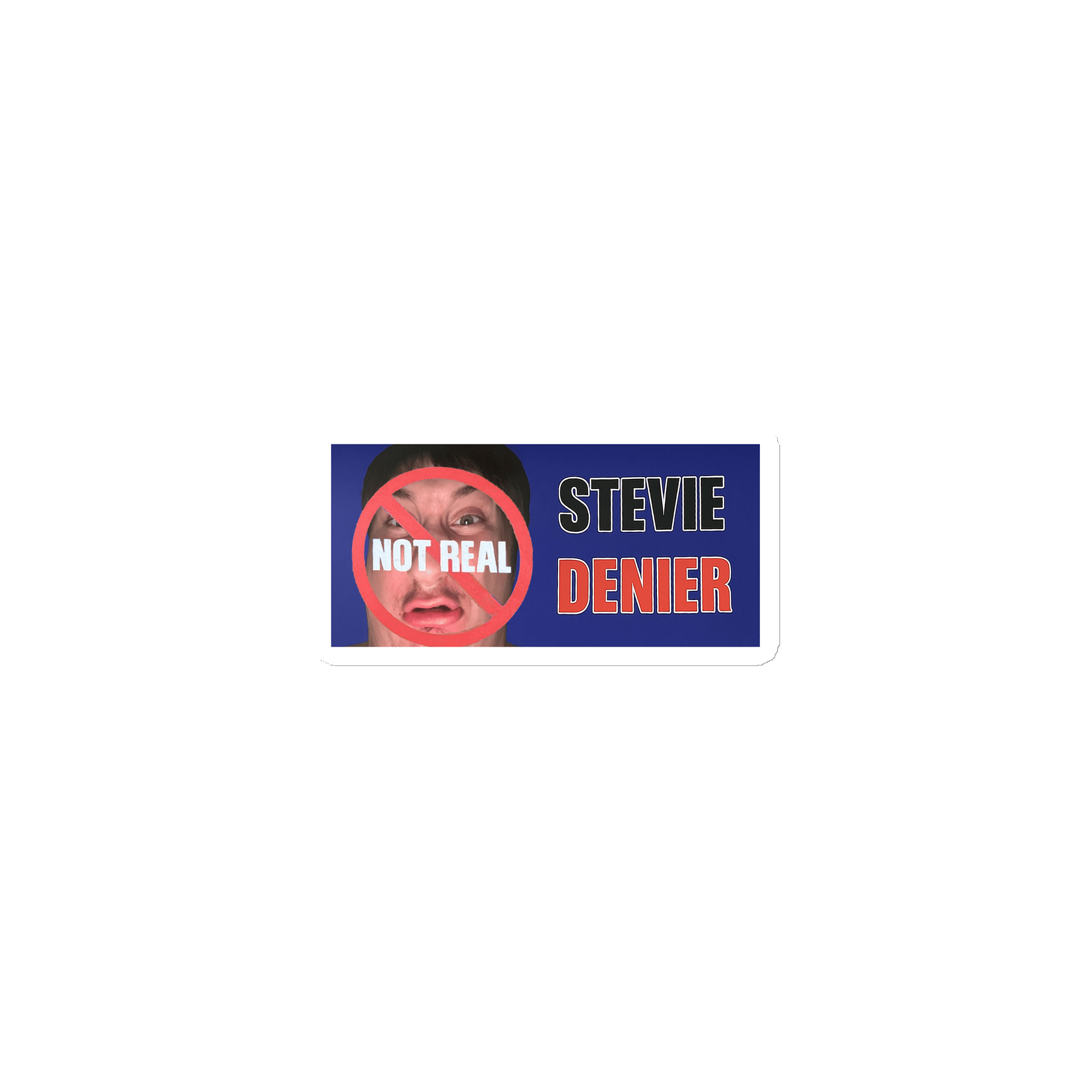 Stevie Magnet product image (1)