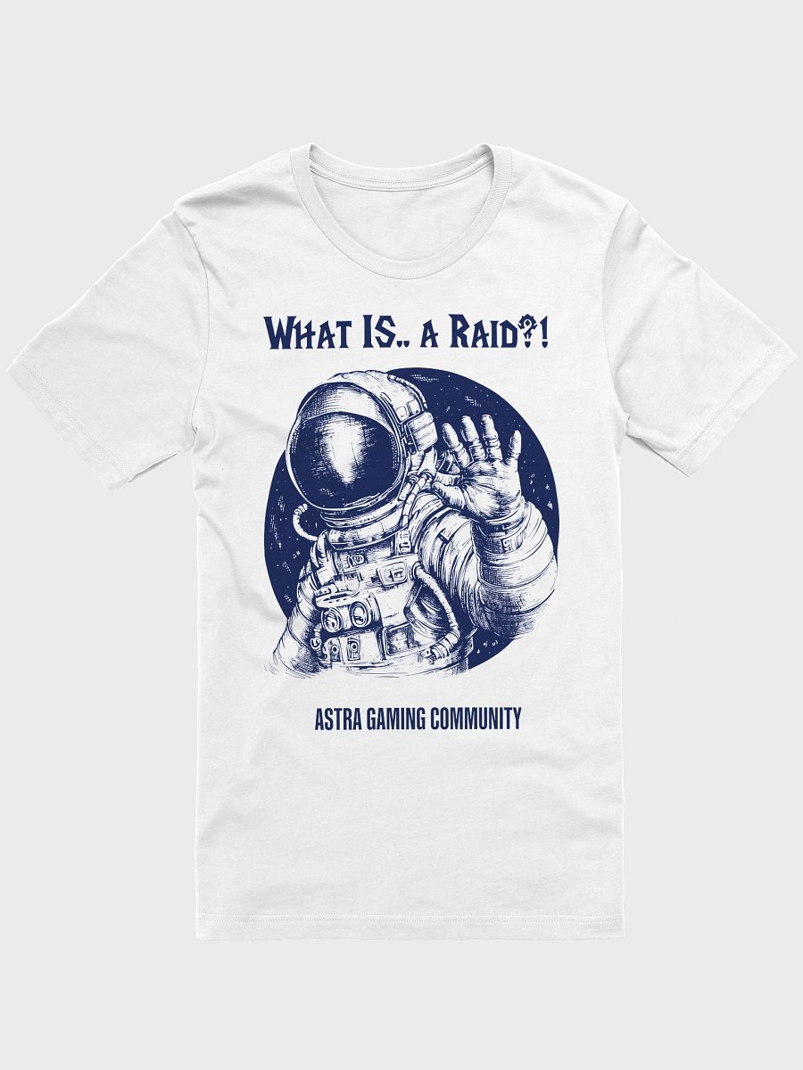 What is... a Raid? product image (1)