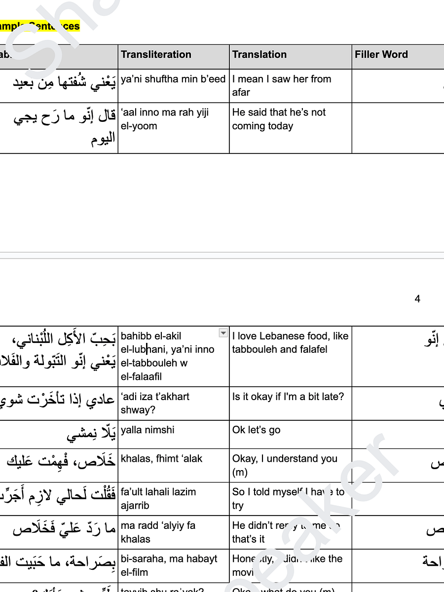 Everyday Filler Words You MUST KNOW in Levantine Arabic to Sound Native product image (3)