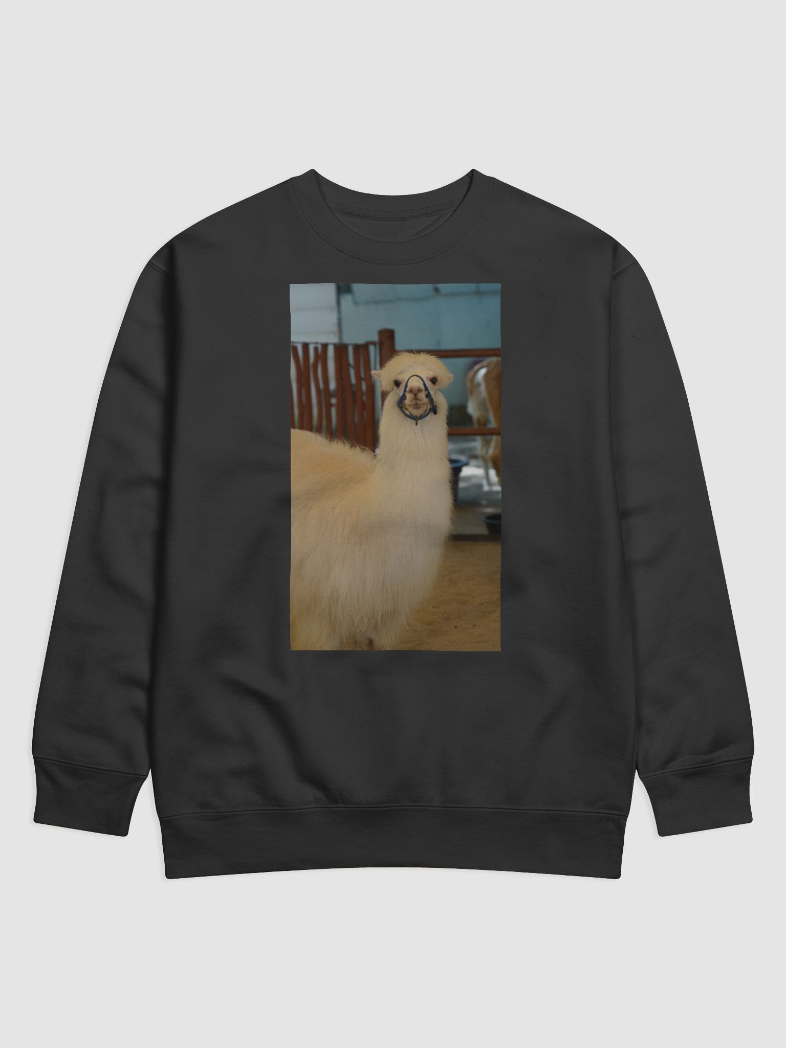 Andean Adventure Premium Sweatshirt product image (1)