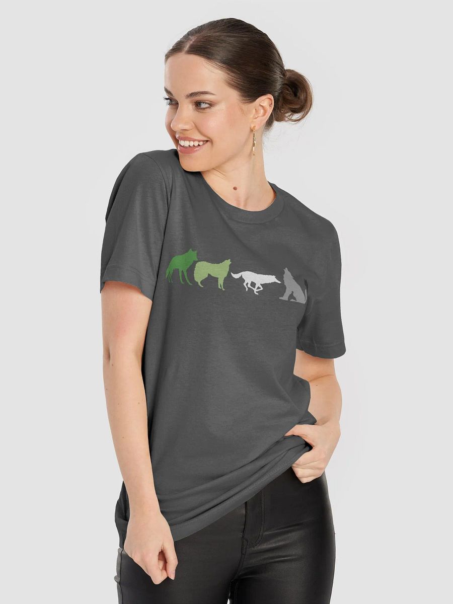 Aromantic Pride Wolves Women's T-Shirt product image (83)