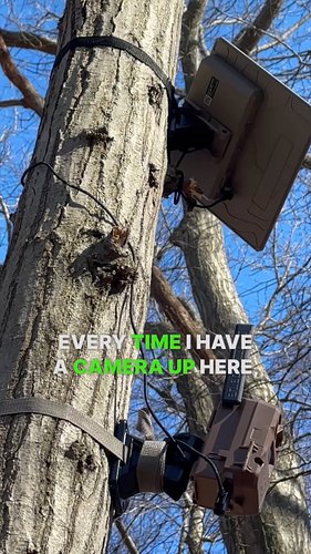 Hanging my Moultrie Edge Cell Camera at the top of the mountain facing into the late day sun. I have it angled down and this ...