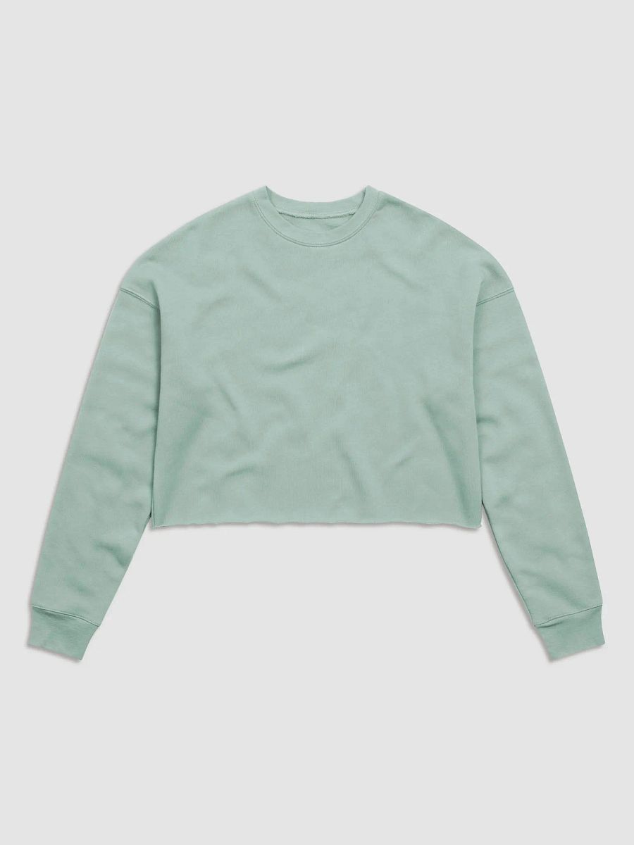 Plain Color Dusty Blue Crop Sweatshirt product image (5)