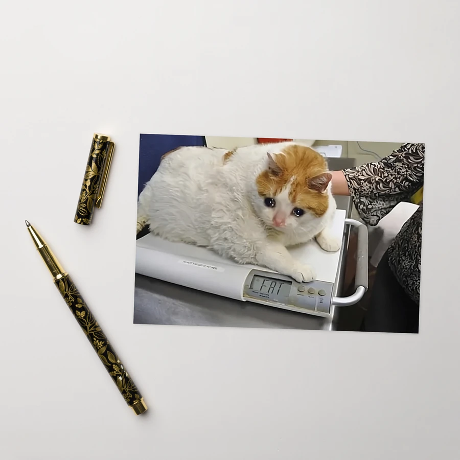 Greeting Card: Meme Cats product image (26)