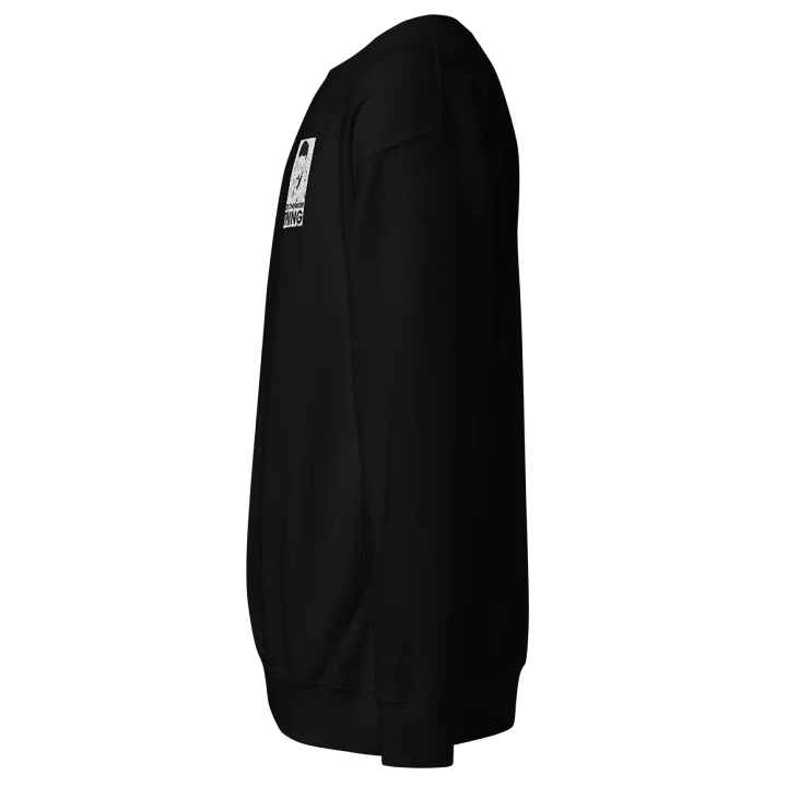 One more Thing (Embroidered Sweatshirt) product image (8)