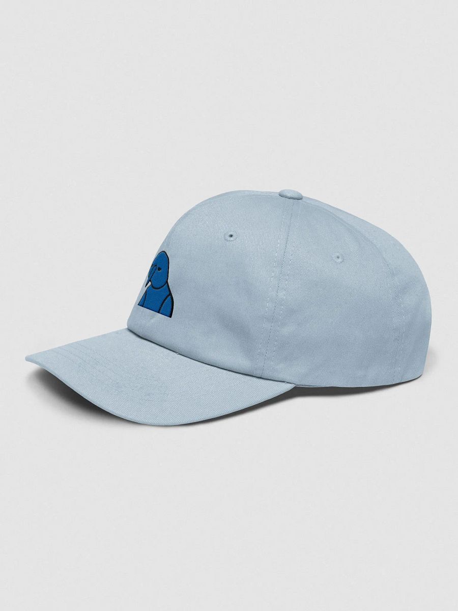 BruSki Dad Hat product image (3)