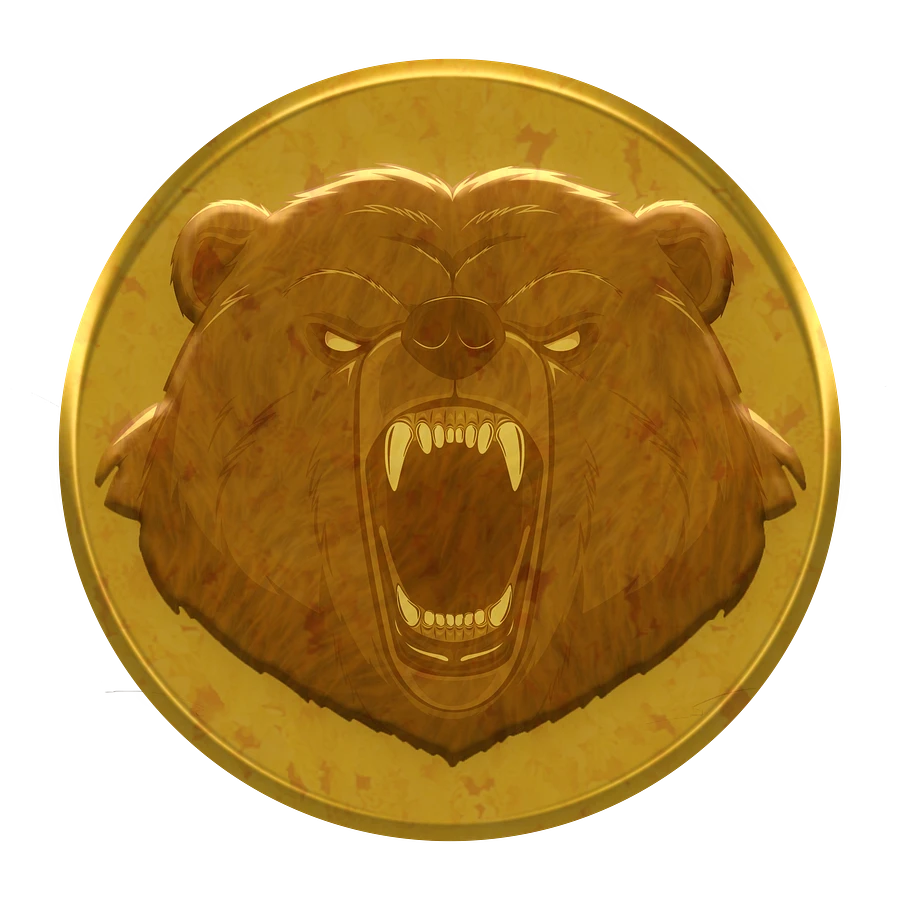 Bear Power Coin - Hoodie product image (73)