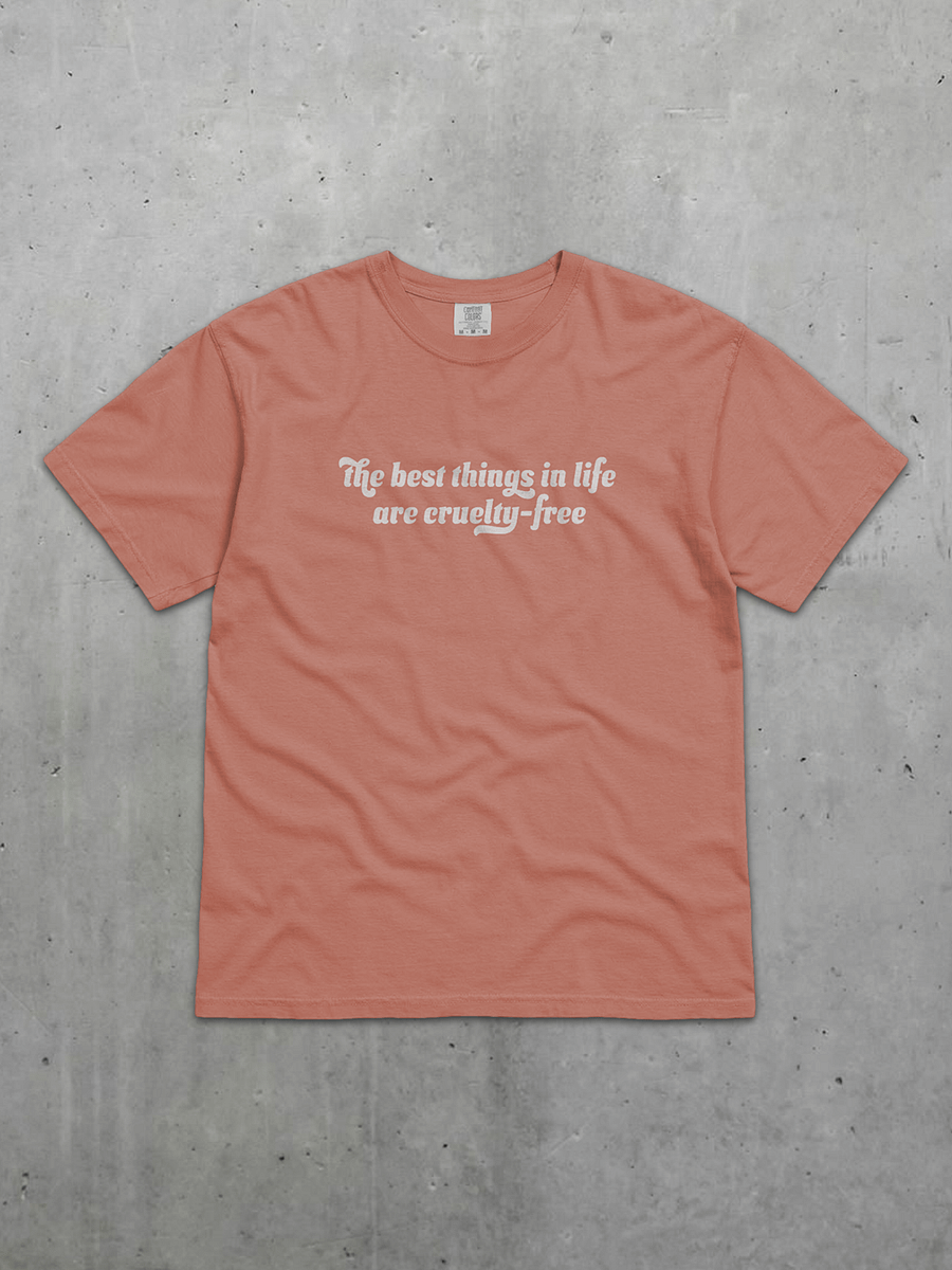 The Best Things In Life Tee product image (1)