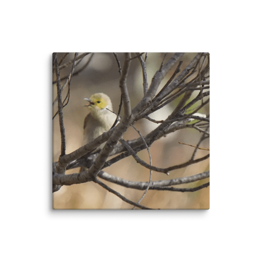 Bird Canvas product image (1)