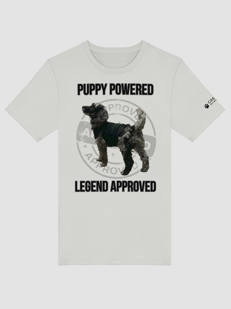 LEGEND APPROVED T-Shirt product image (2)