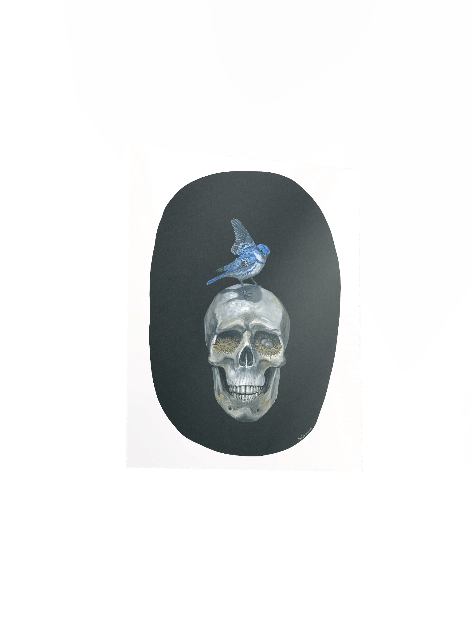 The Meek (Cerulean Warbler) - Art Print product image (4)