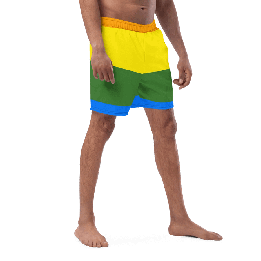 Sunset Stripes All-Over Swim Shorts product image (3)