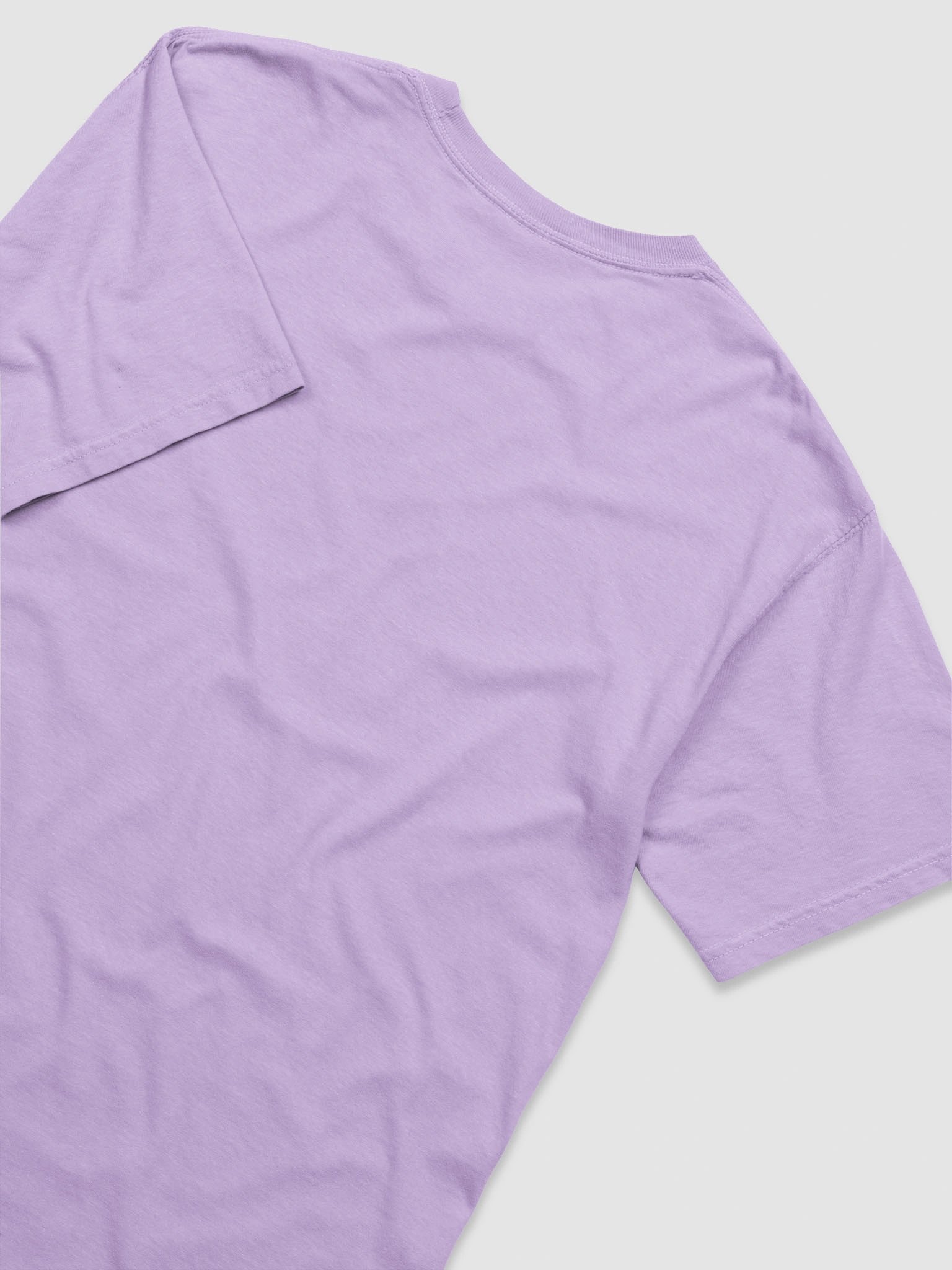 Spartan Legacy Tee product image (6)