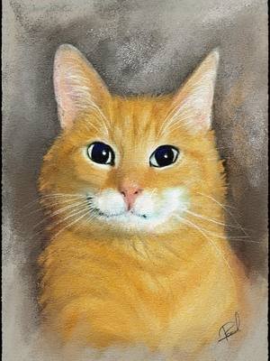 Für Ben. Ein Kater, den ich nicht kenne – aber der mich tief berührt hat. #katzenauftiktok  #katzenliebe   #TikTokKunst #bentheredcat   #fyp 