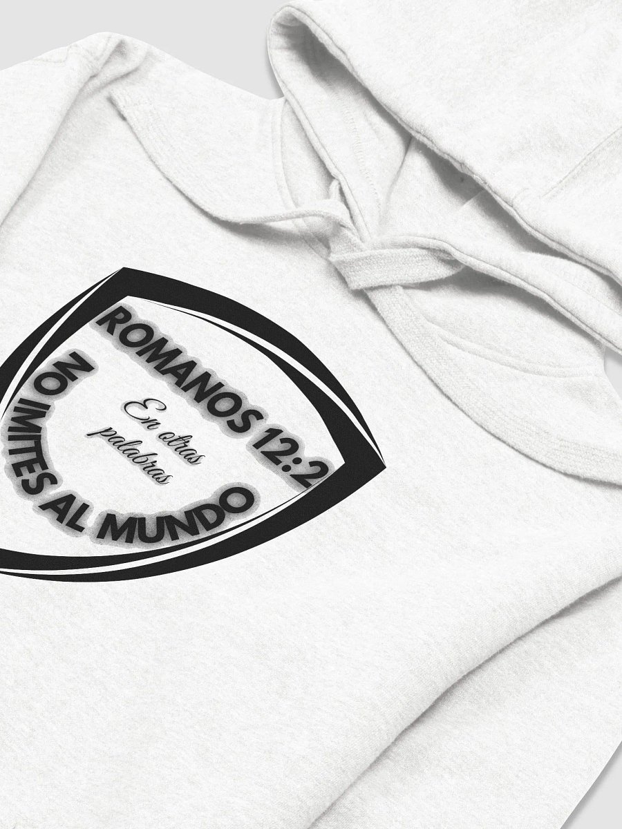 ROMANOS 12:2 Unisex Premium Hoodie product image (3)