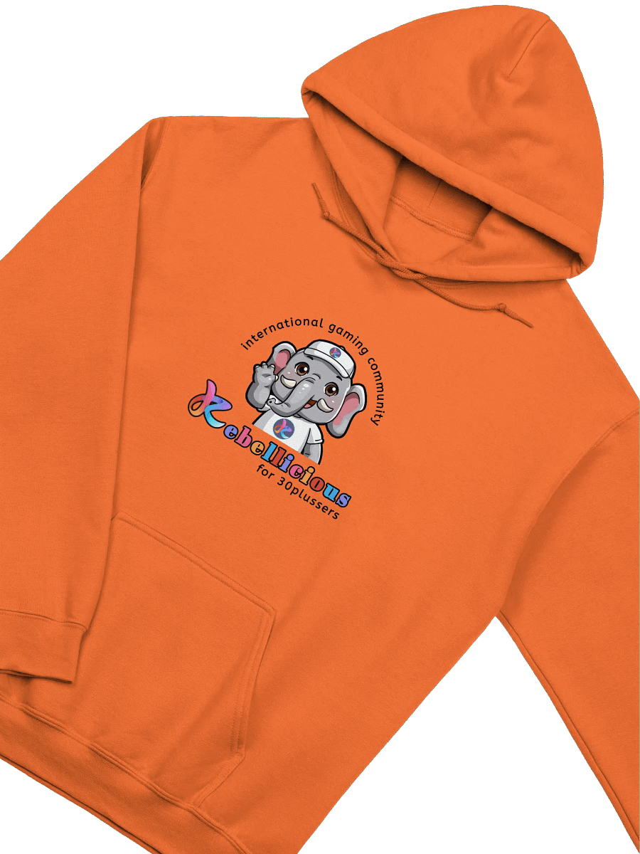 Gildan Classic Hoodie product image (3)