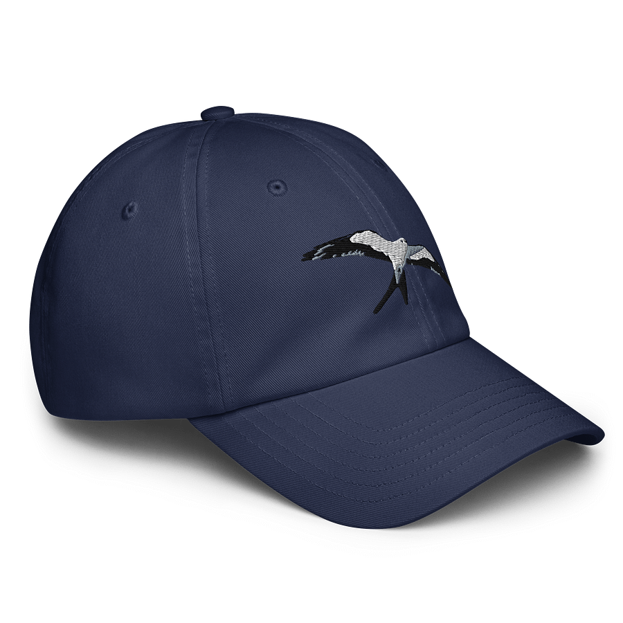 Swallow Tailed Kite Flight of Freedom Embroidered Dad Hat product image (11)