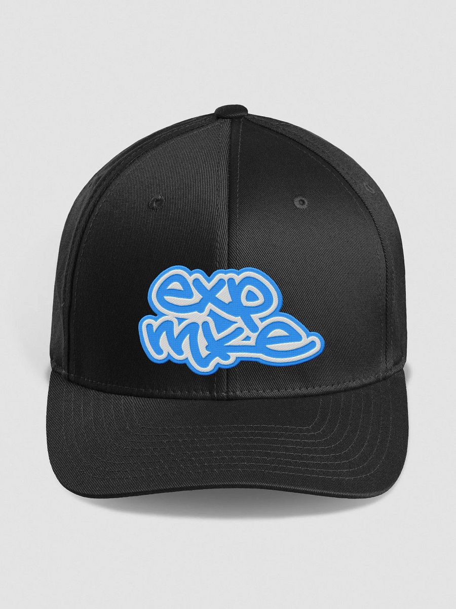 Fitted Hat - ExpMKE Tagged product image (1)
