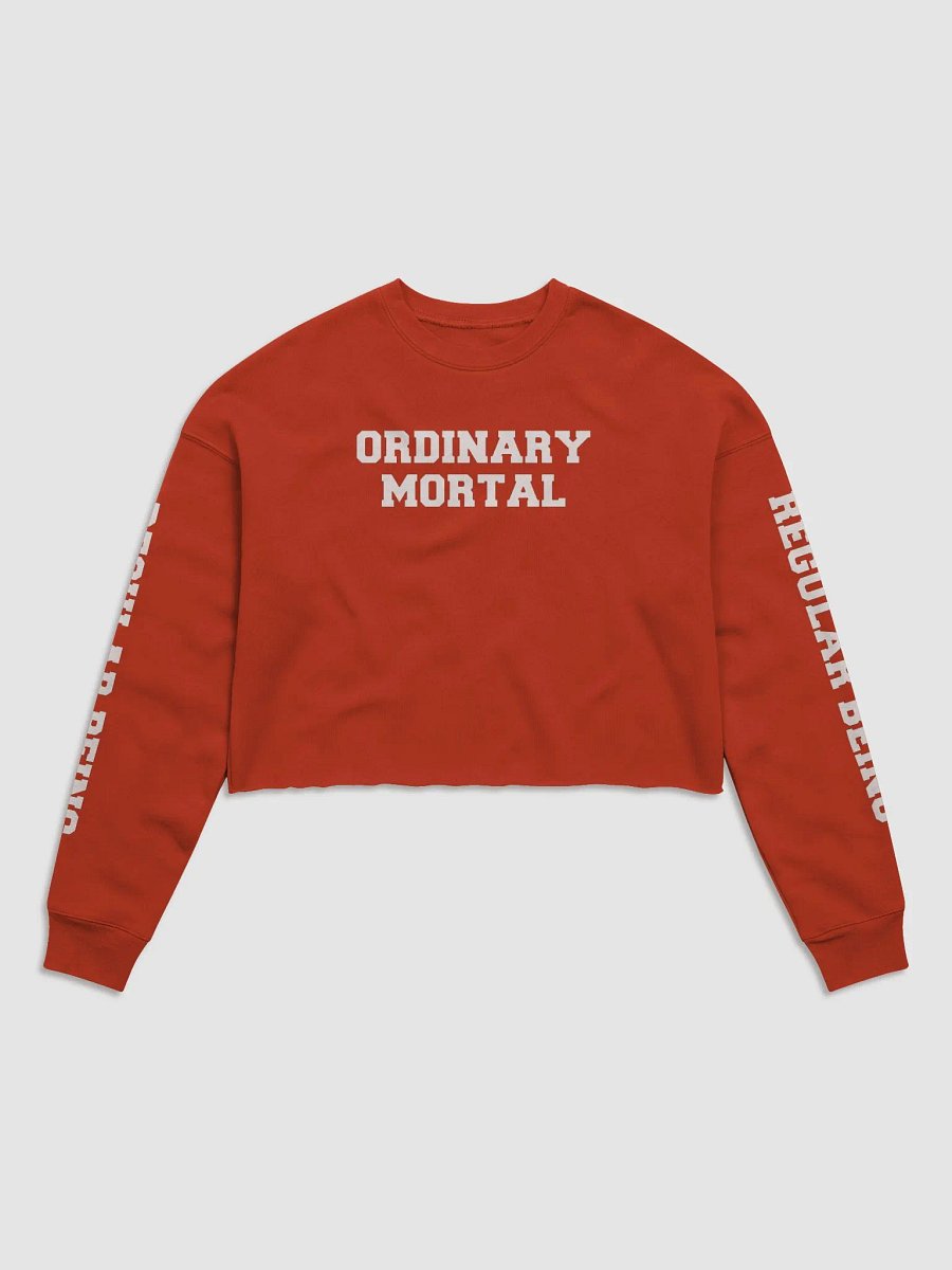 (2 sided) Ordinary Human crop sweatshirt product image (2)
