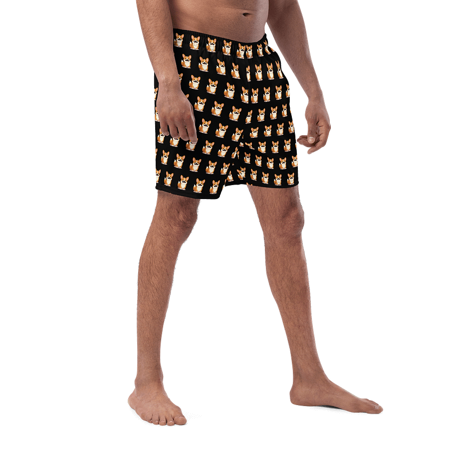 Torgi Swim Trunk Black product image (3)