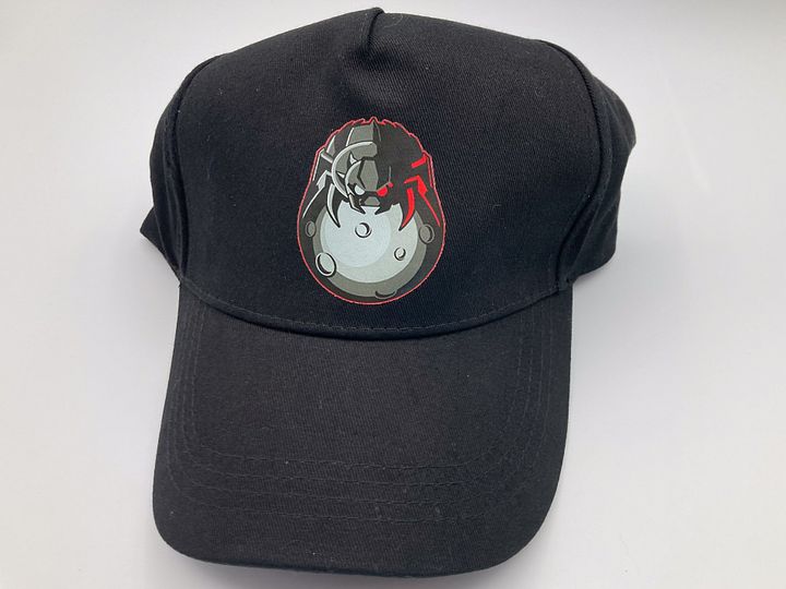 TDL Spider Dad Hat product image (1)