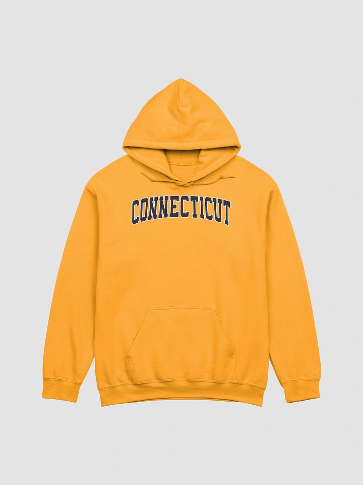 Connecticut Vintage Stylish Classic Hoodie product image (1)