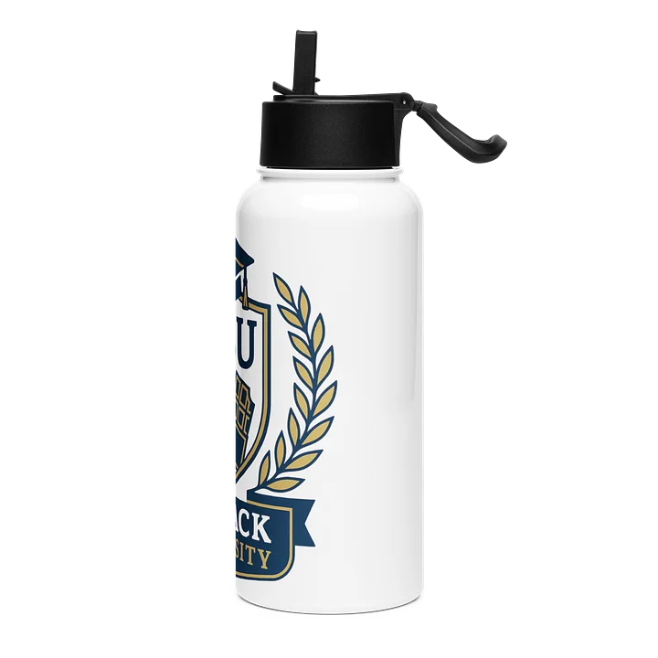 BBU Stainless Steel Water Bottle product image (2)