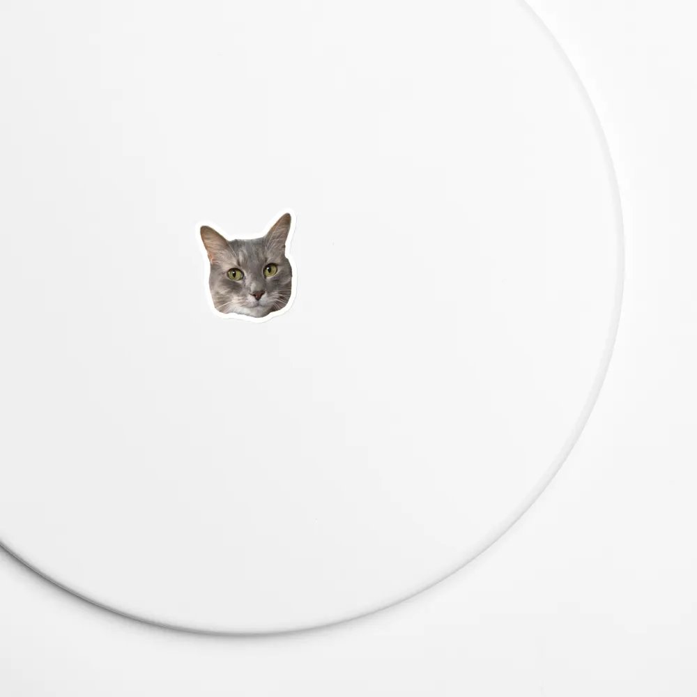 Cas Magnet product image (7)