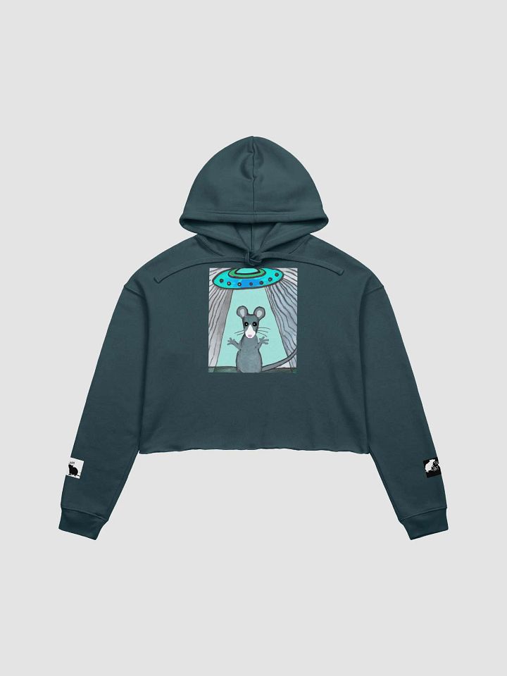 blue rat and UFO cropped hoody (branded) product image (4)