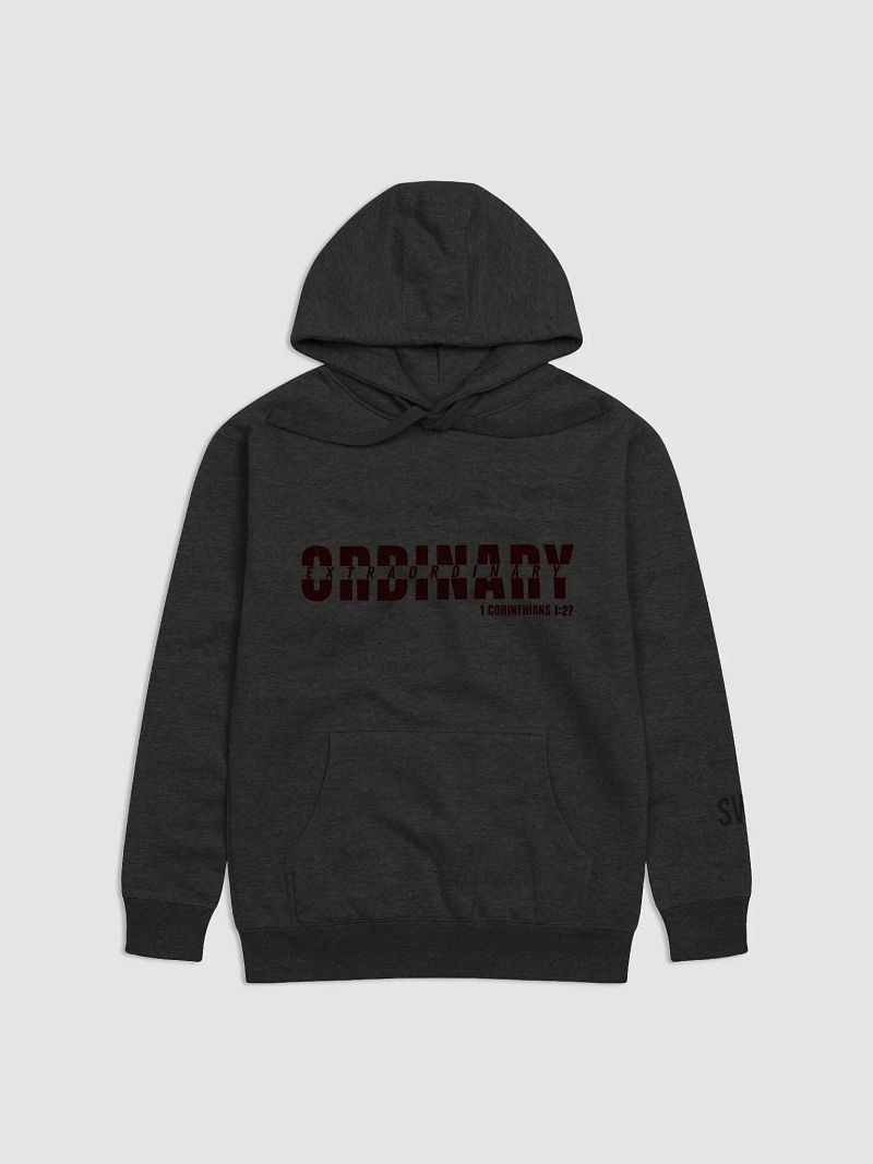 The Ordinary Hoodie
