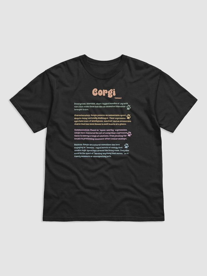 Definition of a Corgi product image (2)