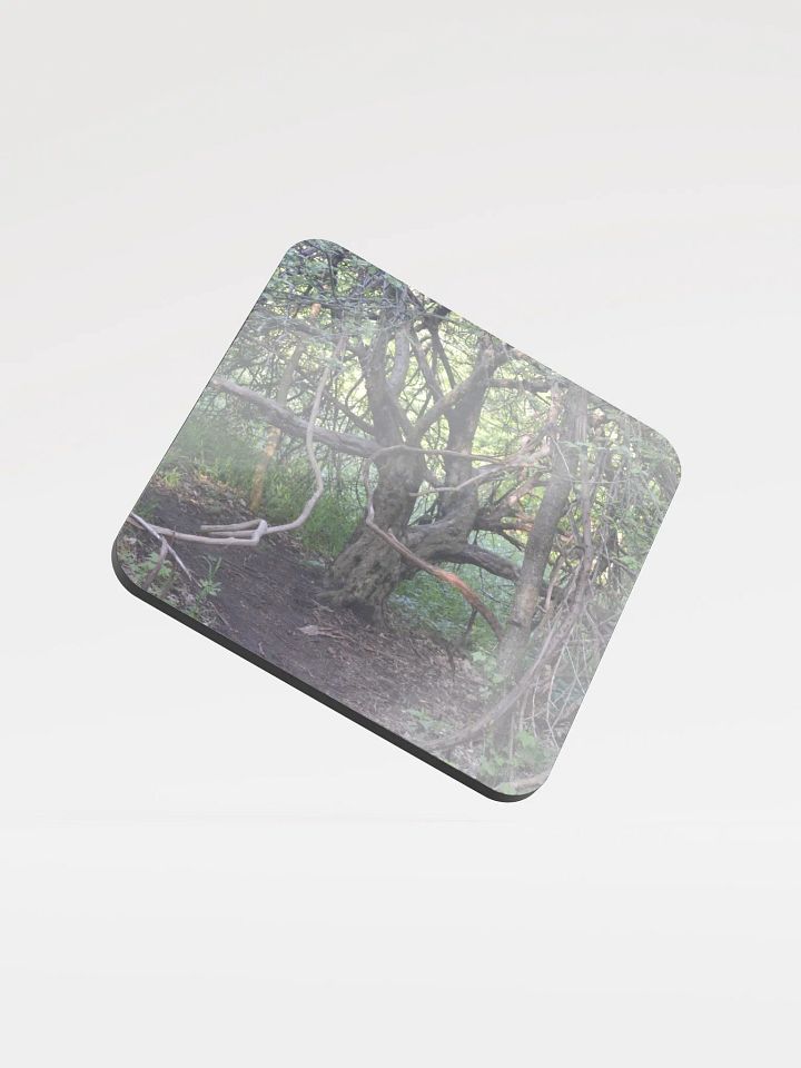 Branch Tree Cork Coaster product image (1)