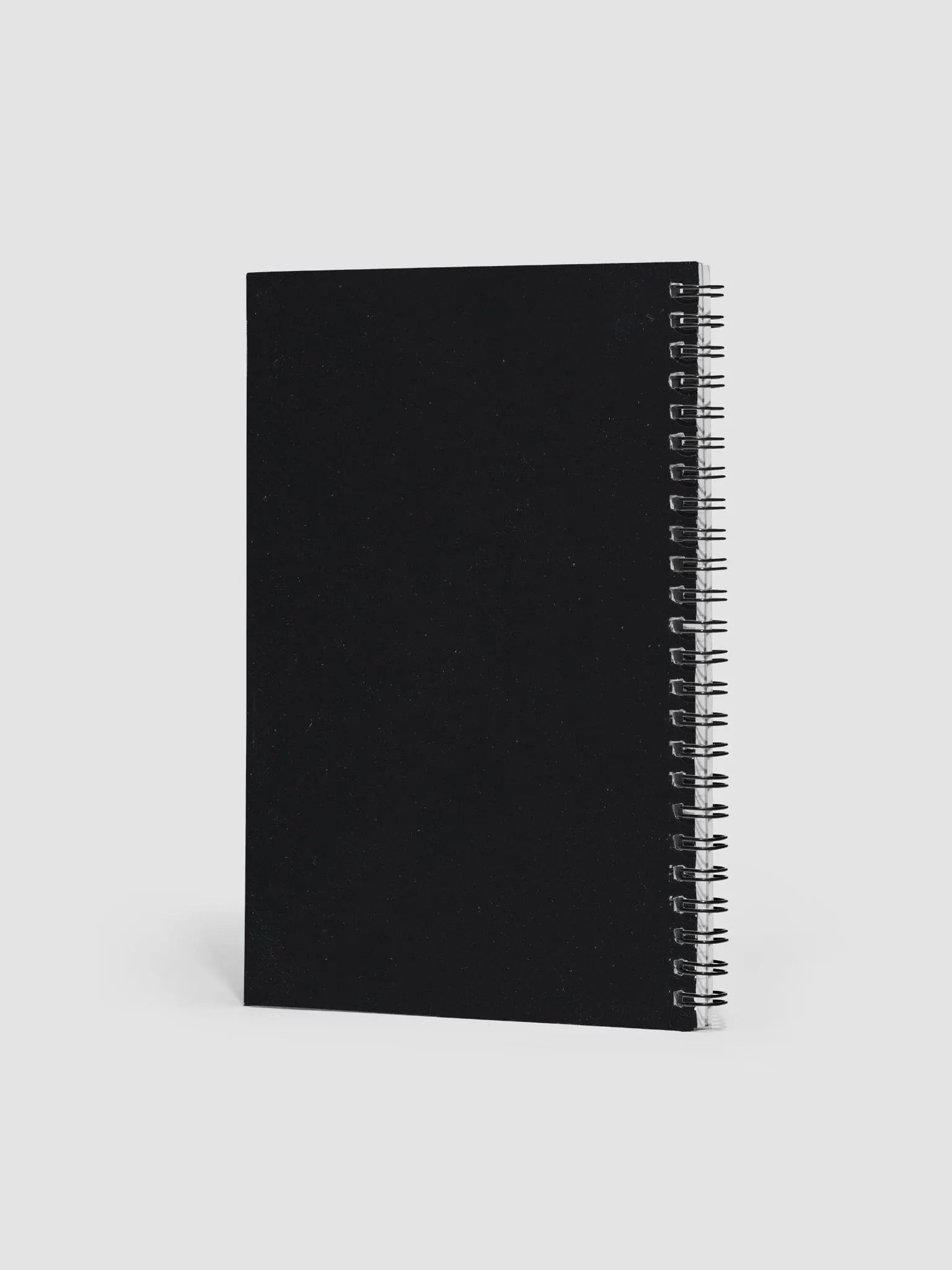 Shane Is Notebook: Grid product image (2)